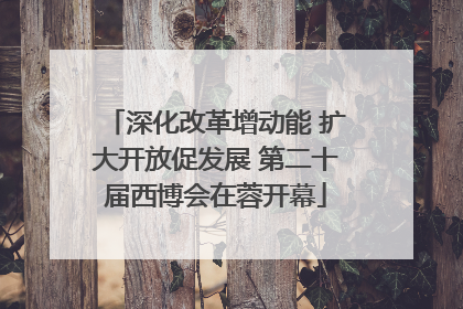 深化改革增动能 扩大开放促发展 第二十届西博会在蓉开幕