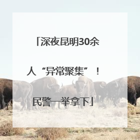 深夜昆明30余人“异常聚集”！民警一举拿下