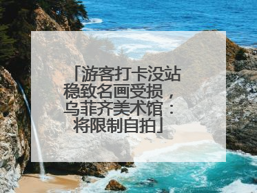 游客打卡没站稳致名画受损，乌菲齐美术馆：将限制自拍