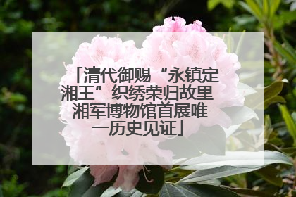 清代御赐“永镇定湘王”织绣荣归故里 湘军博物馆首展唯一历史见证