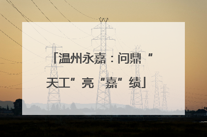 温州永嘉：问鼎“天工”亮“嘉”绩