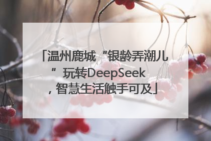 温州鹿城“银龄弄潮儿”玩转DeepSeek，智慧生活触手可及