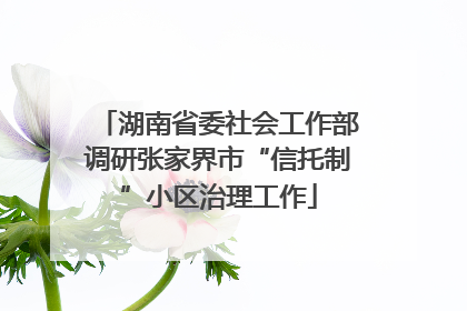 湖南省委社会工作部调研张家界市“信托制”小区治理工作