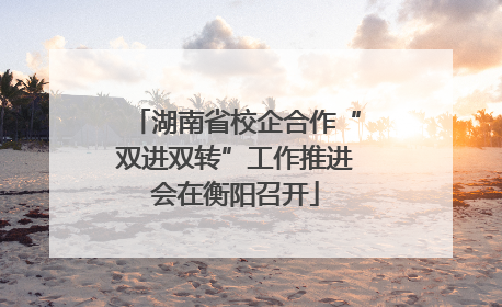 湖南省校企合作“双进双转”工作推进会在衡阳召开