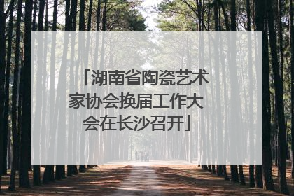 湖南省陶瓷艺术家协会换届工作大会在长沙召开