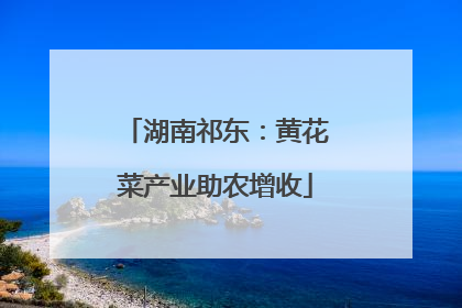湖南祁东：黄花菜产业助农增收