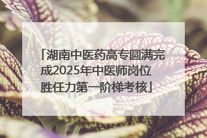 湖南中医药高专圆满完成2025年中医师岗位胜任力第一阶梯考核
