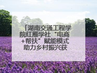 湖南交通工程学院红雁学社“电商+帮扶”赋能模式 助力乡村振兴获帮扶乡镇好评