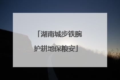 湖南城步铁腕护耕地保粮安