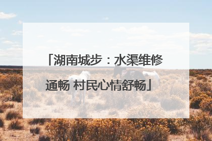 湖南城步：水渠维修通畅 村民心情舒畅