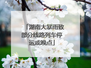 湖南大暴雨致部分线路列车停运或晚点
