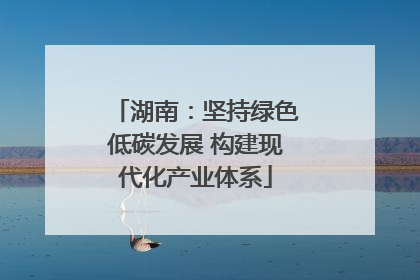 湖南：坚持绿色低碳发展 构建现代化产业体系