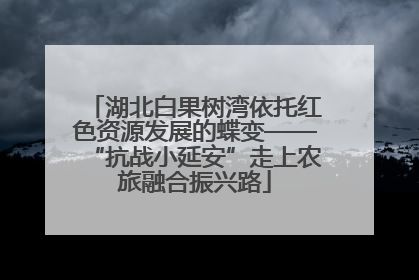 湖北白果树湾依托红色资源发展的蝶变——“抗战小延安”走上农旅融合振兴路