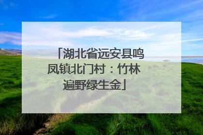 湖北省远安县鸣凤镇北门村：竹林遍野绿生金