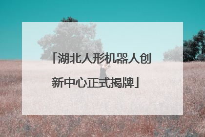 湖北人形机器人创新中心正式揭牌