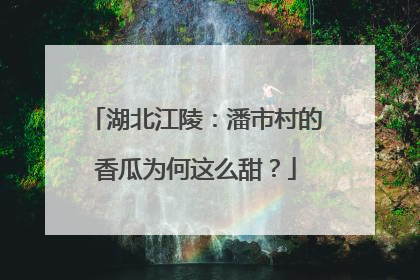 湖北江陵：潘市村的香瓜为何这么甜？