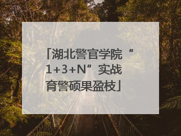 湖北警官学院“1+3+N”实战育警硕果盈枝