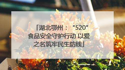 湖北鄂州：“520”食品安全守护行动 以爱之名筑牢民生防线