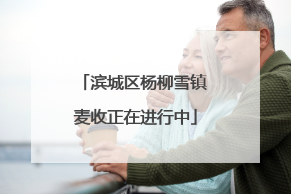 滨城区杨柳雪镇麦收正在进行中