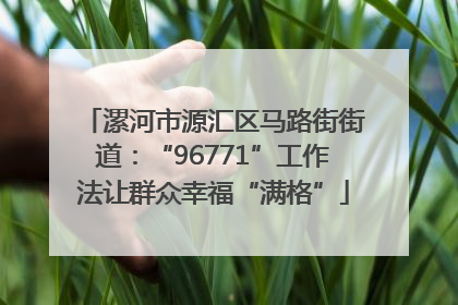 漯河市源汇区马路街街道：“96771”工作法让群众幸福“满格”