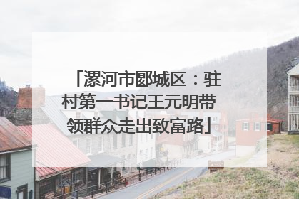 漯河市郾城区：驻村第一书记王元明带领群众走出致富路
