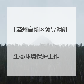 漳州高新区领导调研生态环境保护工作