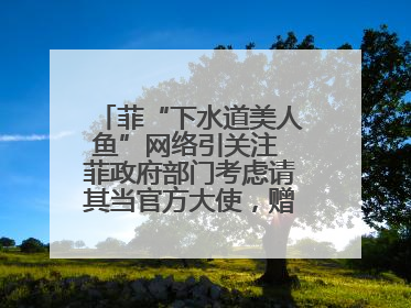 菲“下水道美人鱼”网络引关注 菲政府部门考虑请其当官方大使，赠现金开店