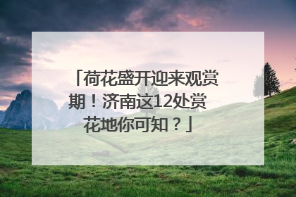 荷花盛开迎来观赏期！济南这12处赏花地你可知？