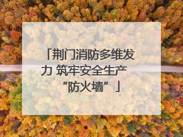 荆门消防多维发力 筑牢安全生产“防火墙”