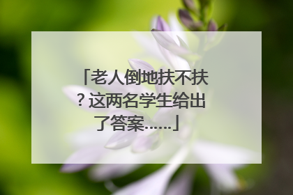 老人倒地扶不扶？这两名学生给出了答案……