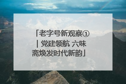 老字号新观察①｜党建领航 六味斋焕发时代新韵