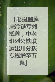 老挝榴莲乘冷链专列抵蓉，中老班列公铁联运出川分拨专线增至五条