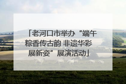 老河口市举办“端午粽香传古韵 非遗华彩展新姿”展演活动
