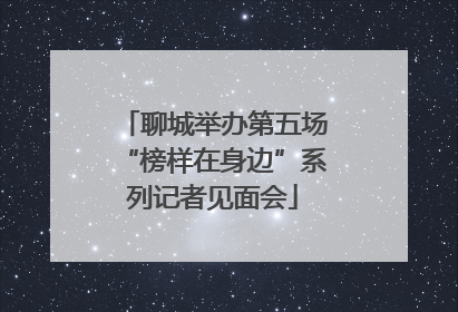 聊城举办第五场“榜样在身边”系列记者见面会