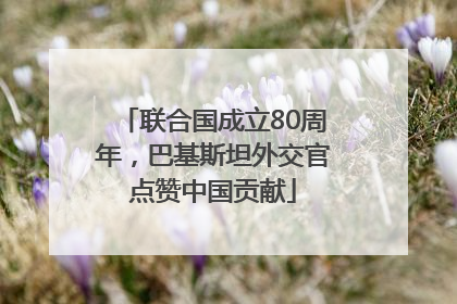 联合国成立80周年，巴基斯坦外交官点赞中国贡献