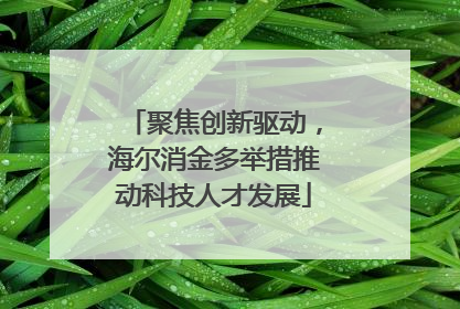 聚焦创新驱动，海尔消金多举措推动科技人才发展