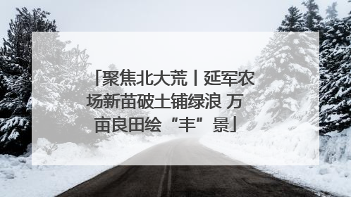 聚焦北大荒丨延军农场新苗破土铺绿浪 万亩良田绘“丰”景