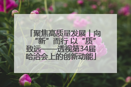 聚焦高质量发展丨向“新”而行 以“质”致远——透视第34届哈洽会上的创新动能
