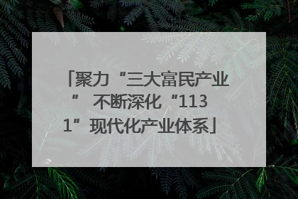 聚力“三大富民产业” 不断深化“1131”现代化产业体系