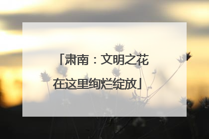 肃南：文明之花在这里绚烂绽放