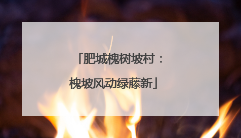 肥城槐树坡村：槐坡风动绿藤新