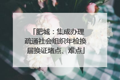 肥城：集成办理 疏通社会组织年检换届换证堵点、难点