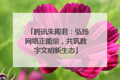 腾讯朱殿君：弘扬网络正能量，共筑数字文明新生态
