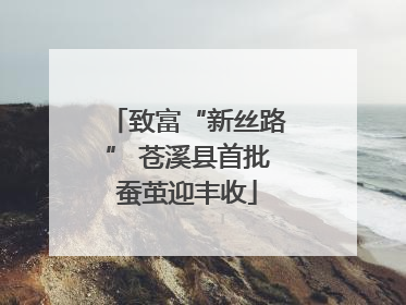 致富“新丝路” 苍溪县首批蚕茧迎丰收