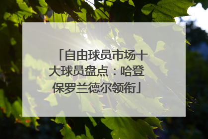 自由球员市场十大球员盘点：哈登保罗兰德尔领衔