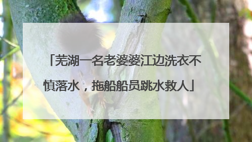 芜湖一名老婆婆江边洗衣不慎落水,拖船船员跳水救人