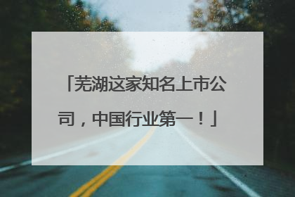 芜湖这家知名上市公司，中国行业第一！