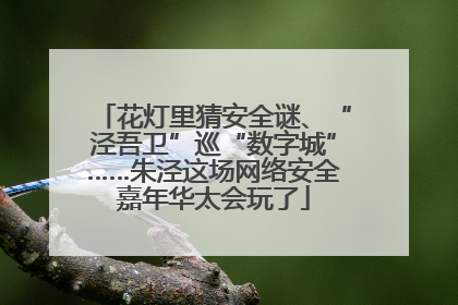 花灯里猜安全谜、“泾吾卫”巡“数字城”……朱泾这场网络安全嘉年华太会玩了