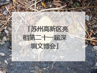 苏州高新区亮相第二十一届深圳文博会