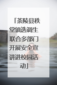 茶陵县秩堂镇选调生联合多部门开展安全宣讲进校园活动